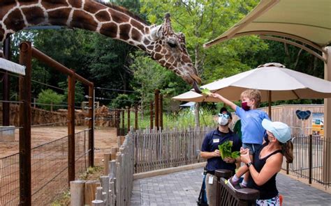Atlanta Zoo Tickets Prices Discounts Kids Activities Animals