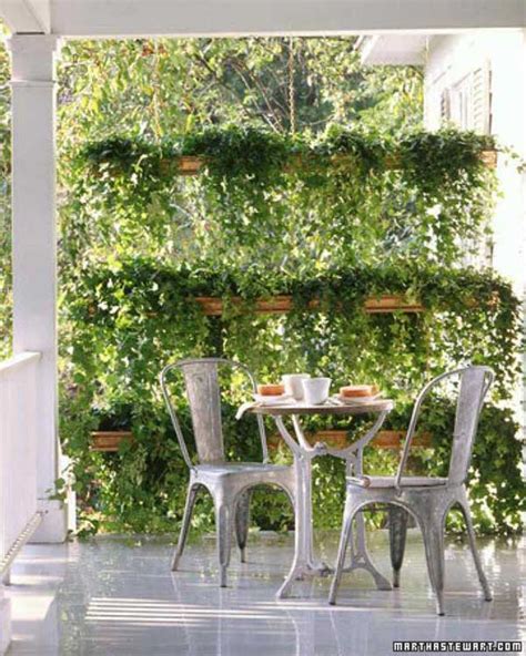 Add Privacy To Your Garden Or Yard With Plants Woohome