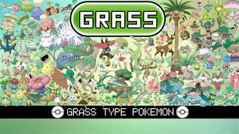 Grass Type Pokémon Amino