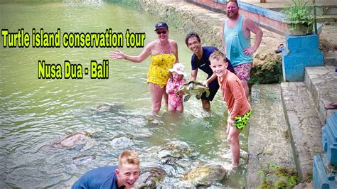 Turtle Island Conservation Tour Wisata Pulau Penyu Youtube