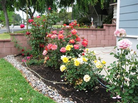 This will outline the spaces, and, depending on the material chosen for the pathways, will contrast beautifully for a unique garden. 18 best images about Rose Garden on Pinterest | Gardens ...