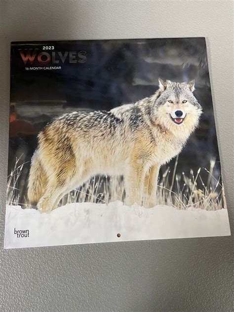 2023 Wolves Calendar