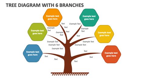 Branch Tree Diagram Pietrorhyes