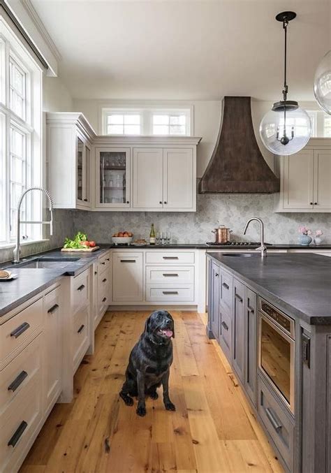 A Dog Sitting In The Middle Of A Kitchen