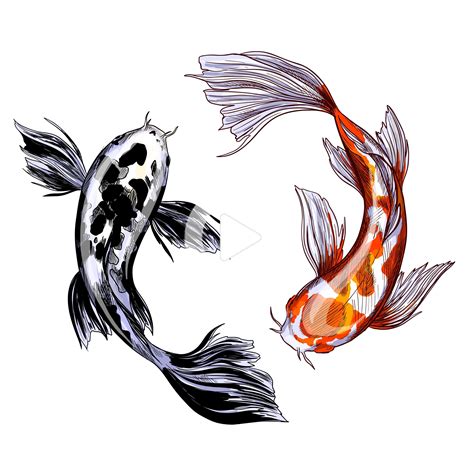 Pin On Tattoo Coi Fish Koi Fish Drawing Koi Art Fish Drawings