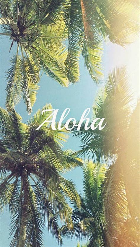 Hawaii Vacation Trees Tropical Hd Phone Wallpaper Peakpx