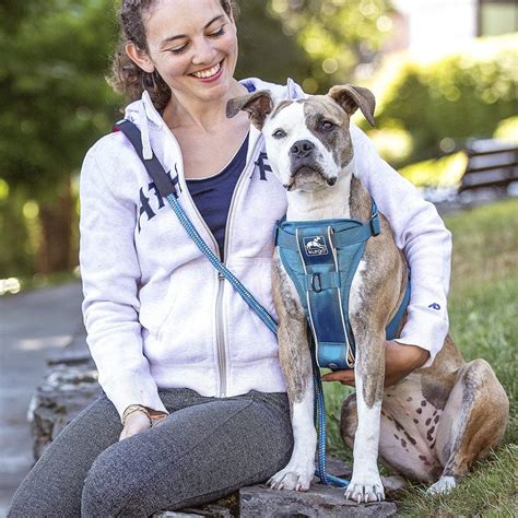 Kurgo Dog Harness Pet Walking Harness Car Harness For