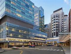 The Urban Explorers Guide To Mass General Hospital Navigating Bostons Healthcare Hub