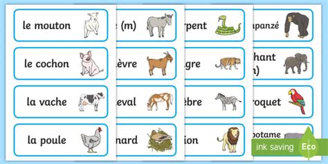 French Animal Vocabulary Animal Names In French Word Cards