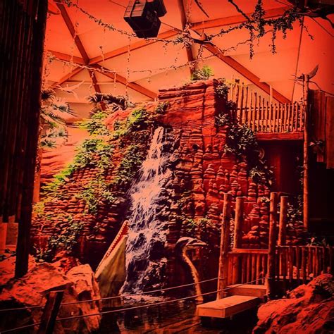 View allall photos tagged gaiazoo. Gaia Zoo