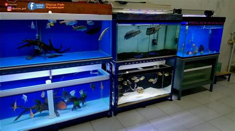 Aneka model meja aquarium jati jepara minimalis modern dan ukiran harga murah mulai 3 jutaan.meja aquarium modern dari ukuran 120 sampai 2. Aneka Model Aquarium - Ikan Hias Aquarium Cantik Cantik ...