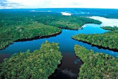 Travel Trip Journey The Greatest “amazon River” Is Home To Several