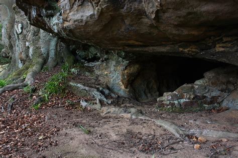Oldbury Rock Shelters Cave Rock Shelter The Modern