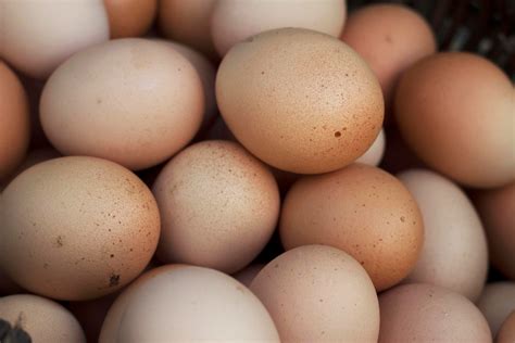 Vajec Se Není Třeba Bát Zdraví Mohou Velmi Prospět Záleží Na Jejich úpravě Egoman