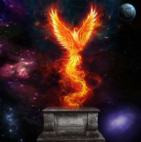 Immortal Phoenix Soul In The End By Clara Deviantart Com On Deviantart Phoenix Bird