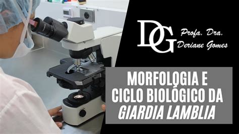 Morfologia E Ciclo Biol Gico Da Giardia Lamblia Youtube