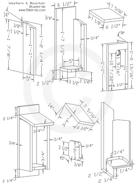 Armistead s bluebird house project, twin bridges nature resort bird houses craig s post, wood work peterson bluebird house plans pdf plans, bluebird house plans texas pdf woodworking, eastern bluebird birdhouse 70birds birdhouse plans index. Western & Mountain Bluebird Birdhouse Plans - 70birds ...