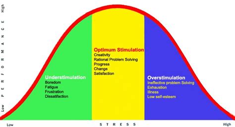 Find Your Optimal Stress Zone To Fuel Future Success Corporate