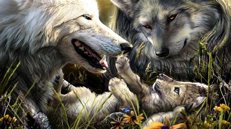 Die 74 Besten Wölfe Hintergrundbilder