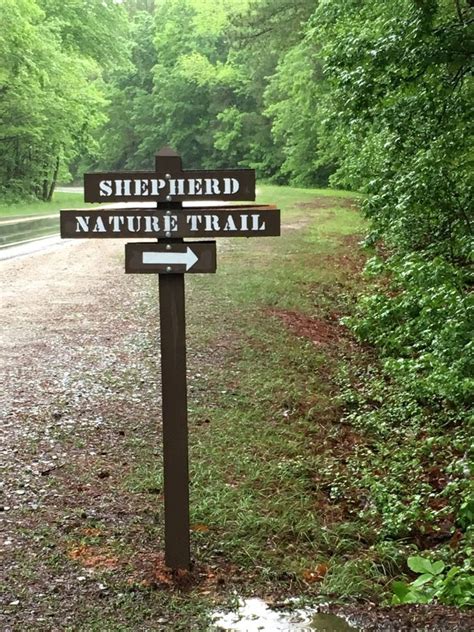 Shepherd Nature Trail Duke Forest