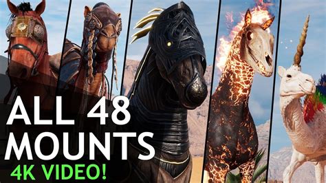 Assassin S Creed Origins All Mounts In K Of Them Youtube