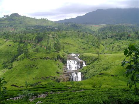 The Top 11 Things To See And Do In Nuwara Eliya Sri Lanka