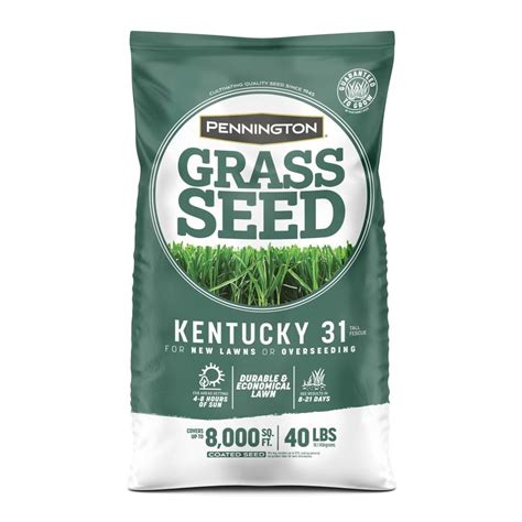 Tall Fescue Grass Seed At