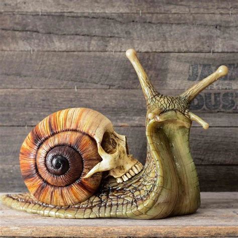 skull snail 3d printing stl snail art skull art art inspiration