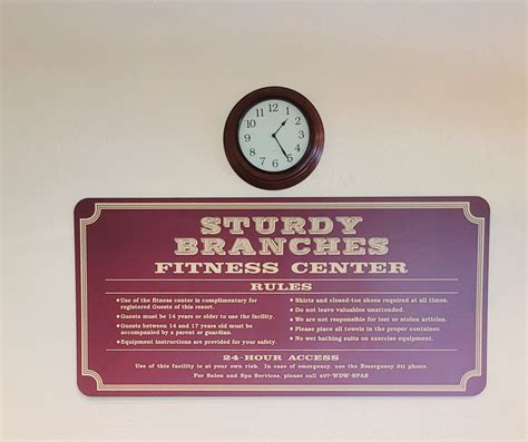 Fairytales and Fitness: Sturdy Branches Health Club at Disney's