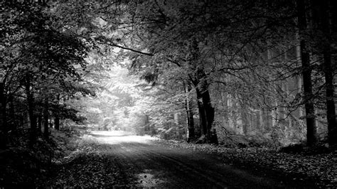 Black And White Desktop Wallpapers Top Free Black And White Desktop