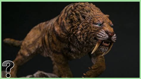How Did The Saber Toothed Tiger Go Extinct Youtube