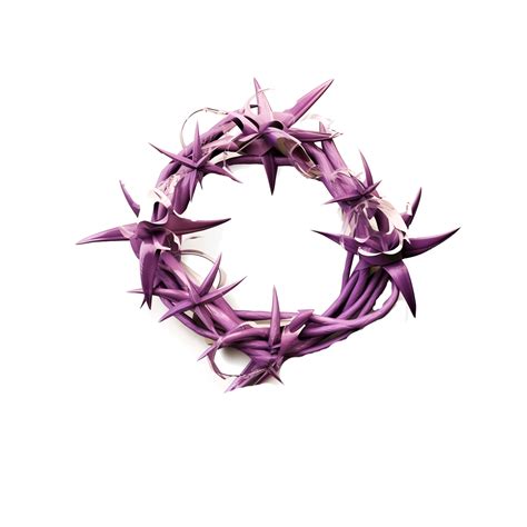 Crown Of Thorns Thorns Spines Generative Ai 26751422 Png
