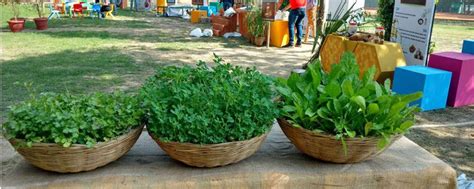 I hired home garden gardeners to make the yard look beautiful. Learn How To Grow Your Own Garden-Vegetable Patch With ...