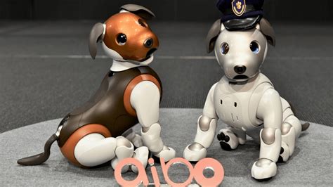 1️⃣ Begrüßen Sie Sony Aibo Den Coolsten Roboterhund Dieser Millennial
