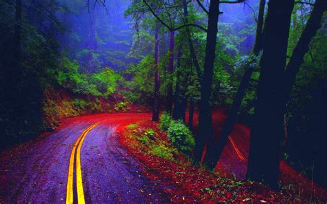 Rain Forest Road Wallpapers Wallpaper Cave