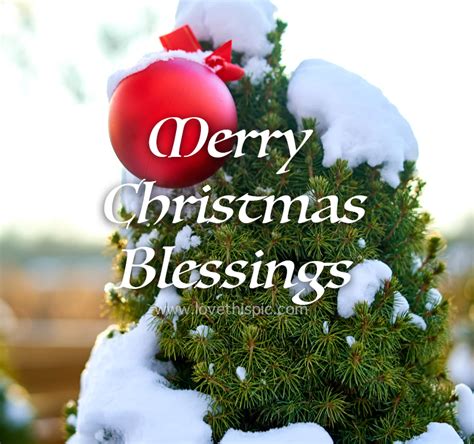 Bauble On Tree Merry Christmas Blessing Pictures Photos And Images