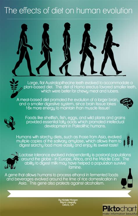 Diet driving human evolution | DragonflyIssuesInEvolution13 Wiki | Fandom
