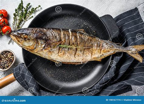 Baked Yellowtail Japanese Amberjack In A Pan Gray Background Stock