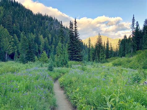 7 Peaceful Washington Trails You Might Have All To Yourself Pacific