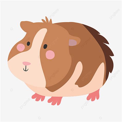 Clipart Cartoon Guinea Pig Here Presented 51 Guinea Pig Cartoon Drawing