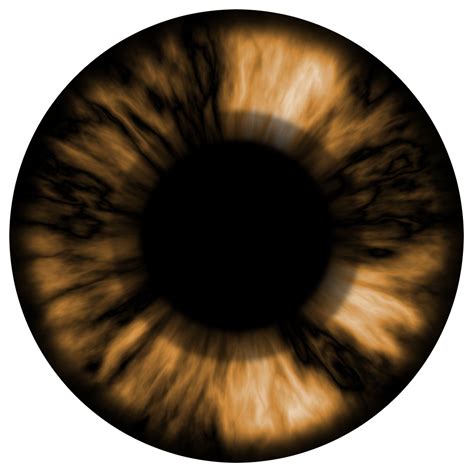 Download Brown Eyes Png Image For Free
