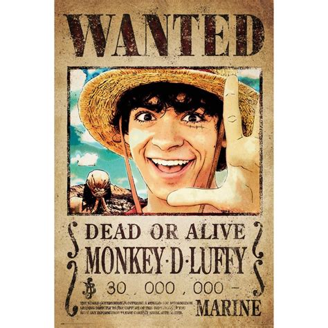 Poster One Piece Wanted Monkey D Luffy En Vente Sur Close Up