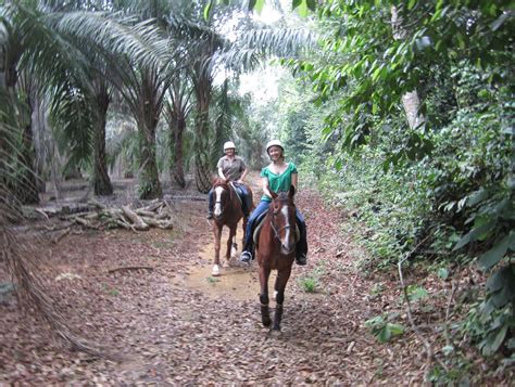 This country had 5971 entries in the past 12 months by 687 different contributors. A Sakura Story: Malaysia - Horse Riding