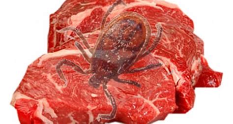 Foodstuff Sa Why Are So Many People Getting A Meat Allergy