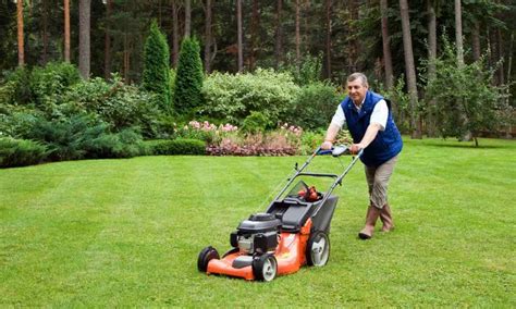 Starting a lawn care business might sound easy and pleasant, but it's not that simple. How to Start a Lawn Care Business - EliteBusinessMag.Com