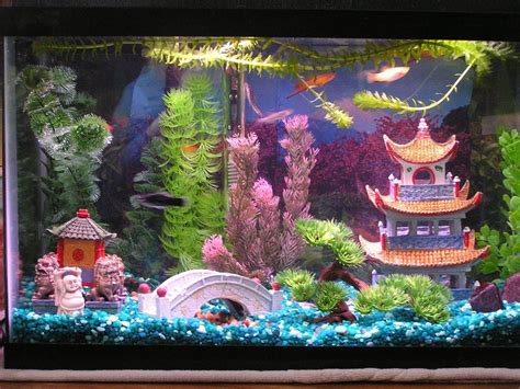 Fish Tank Setup Cool Fish Tanks Fish Tank Themes Fish Tank Decorations