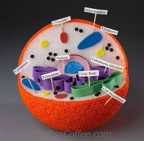 Check spelling or type a new query. Pin by Gichelle Burwell on Screenshots | Animal cell model ...