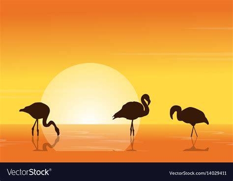 At Sunset Flamingo On Lake Scene Royalty Free Vector Image