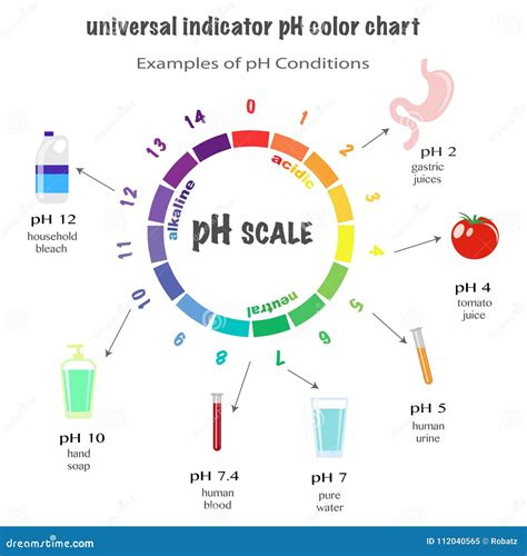 The Ph Scale Ph Alkaline Neutral And Acidic Scale Vector