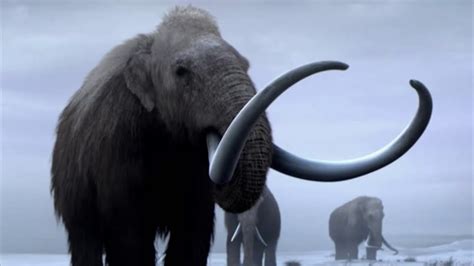 Sound Effects Of Woolly Mammoth Youtube